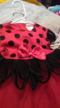 Lady bug gril dress