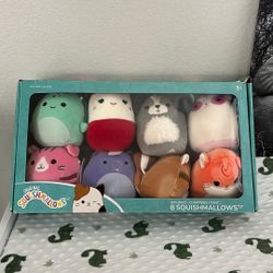 Squishmallows 