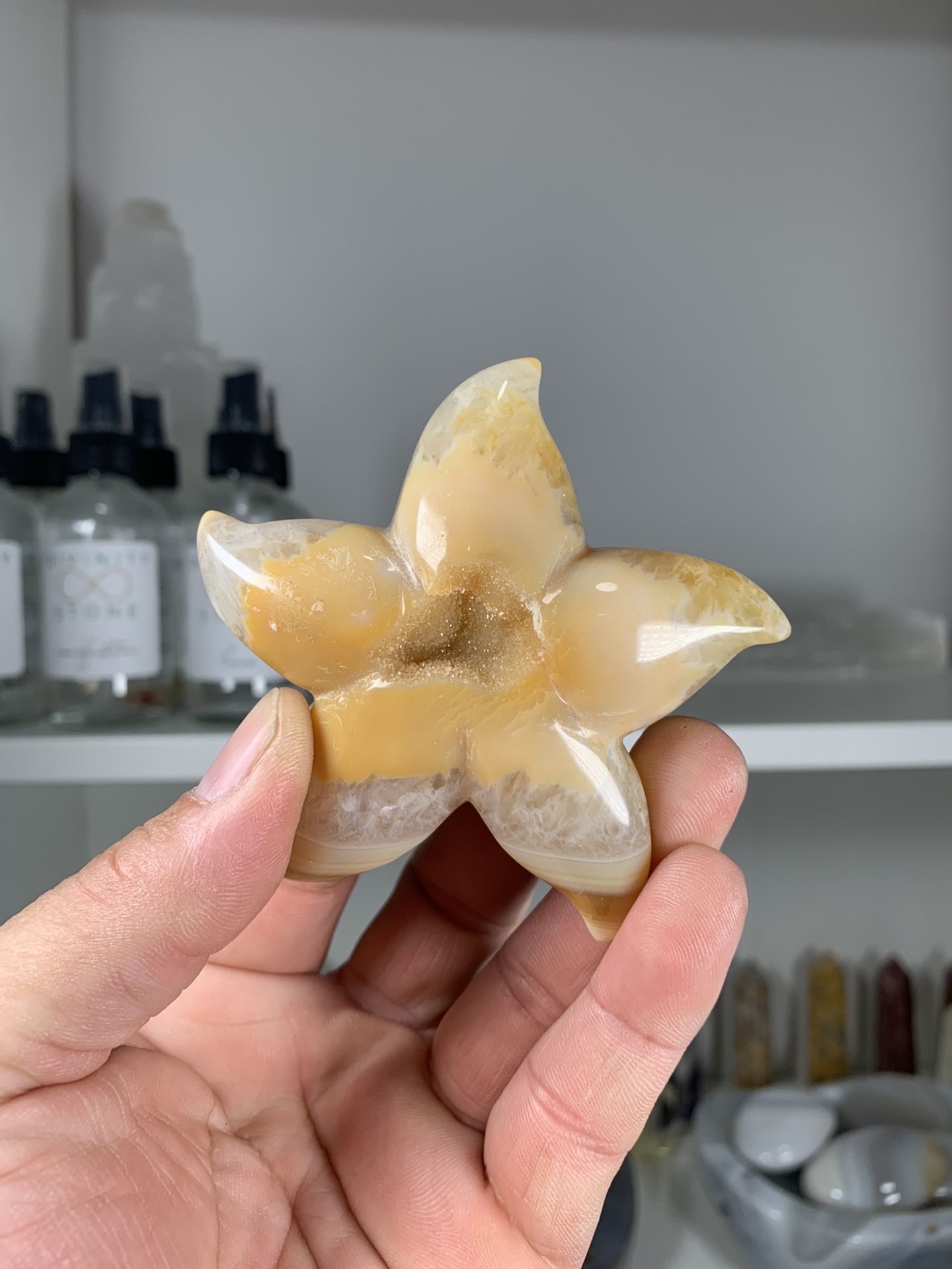Agate Starfish With Druzy Healing Crystal