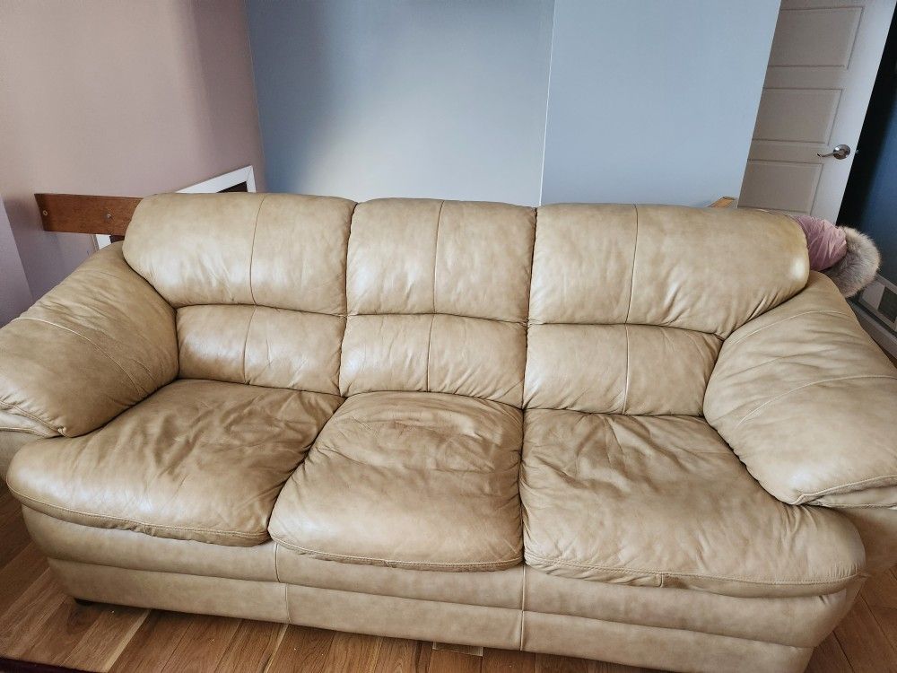 Leather Couch