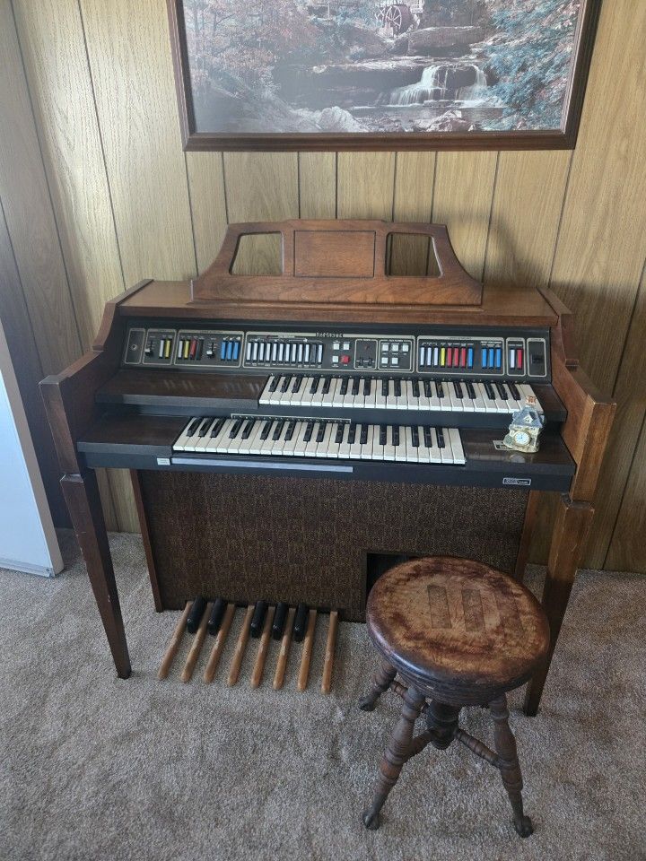 Organ