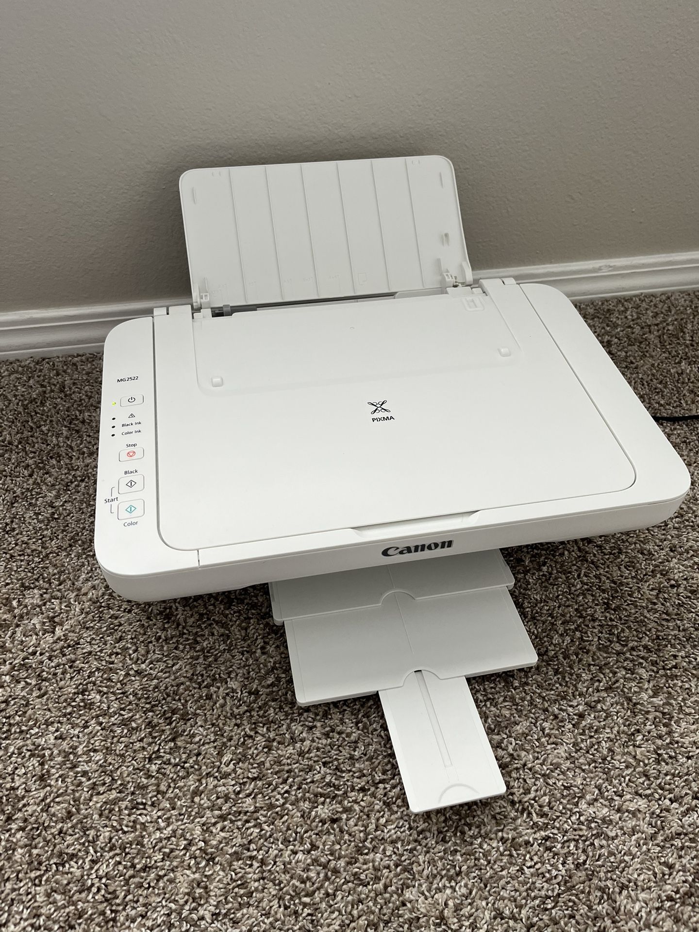 Canon Pixma MG2522 Printer/Scanner