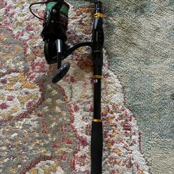 Fishing Rod and Reel 