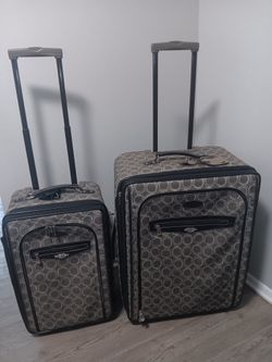 2 Luggage Bags