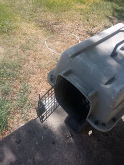 Great Choice Pet kettle