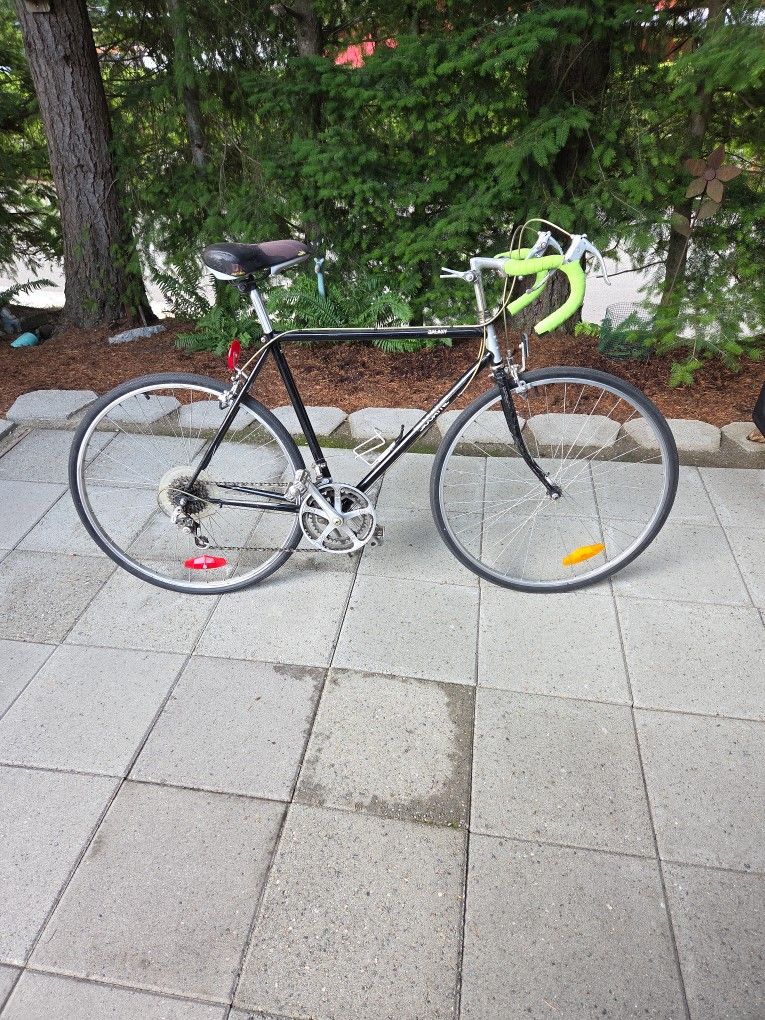 Biscayne Galaxy Vintage Road Bike