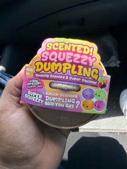 Fidget toy squishy mystery dumpling