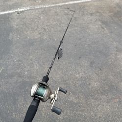 Daiwa / Pennacle Baitcaster Combo