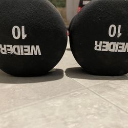 10 Lb Dumbbells