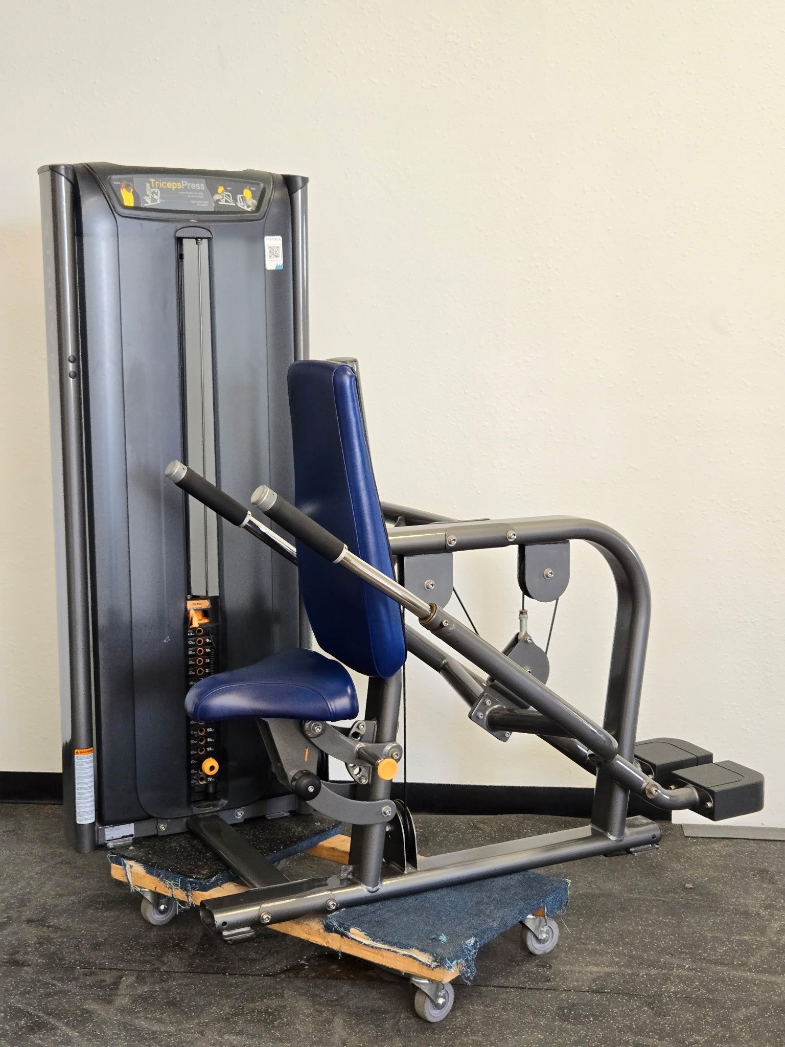 Matrix Versa Triceps Pushdown / Dip Machine