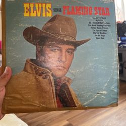 Elvis Collector Item 