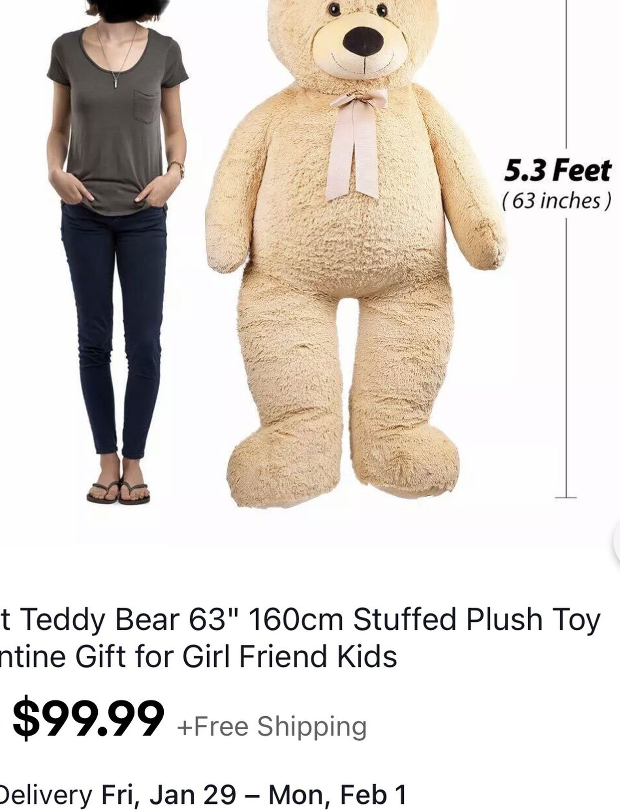 Teddy Bear (63inch)