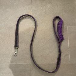 Dog Leash 