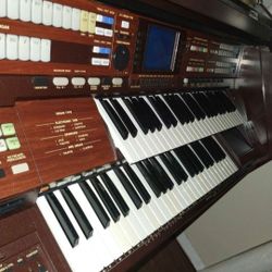 Technica Digital SX G100 Organ (Trading Possible)