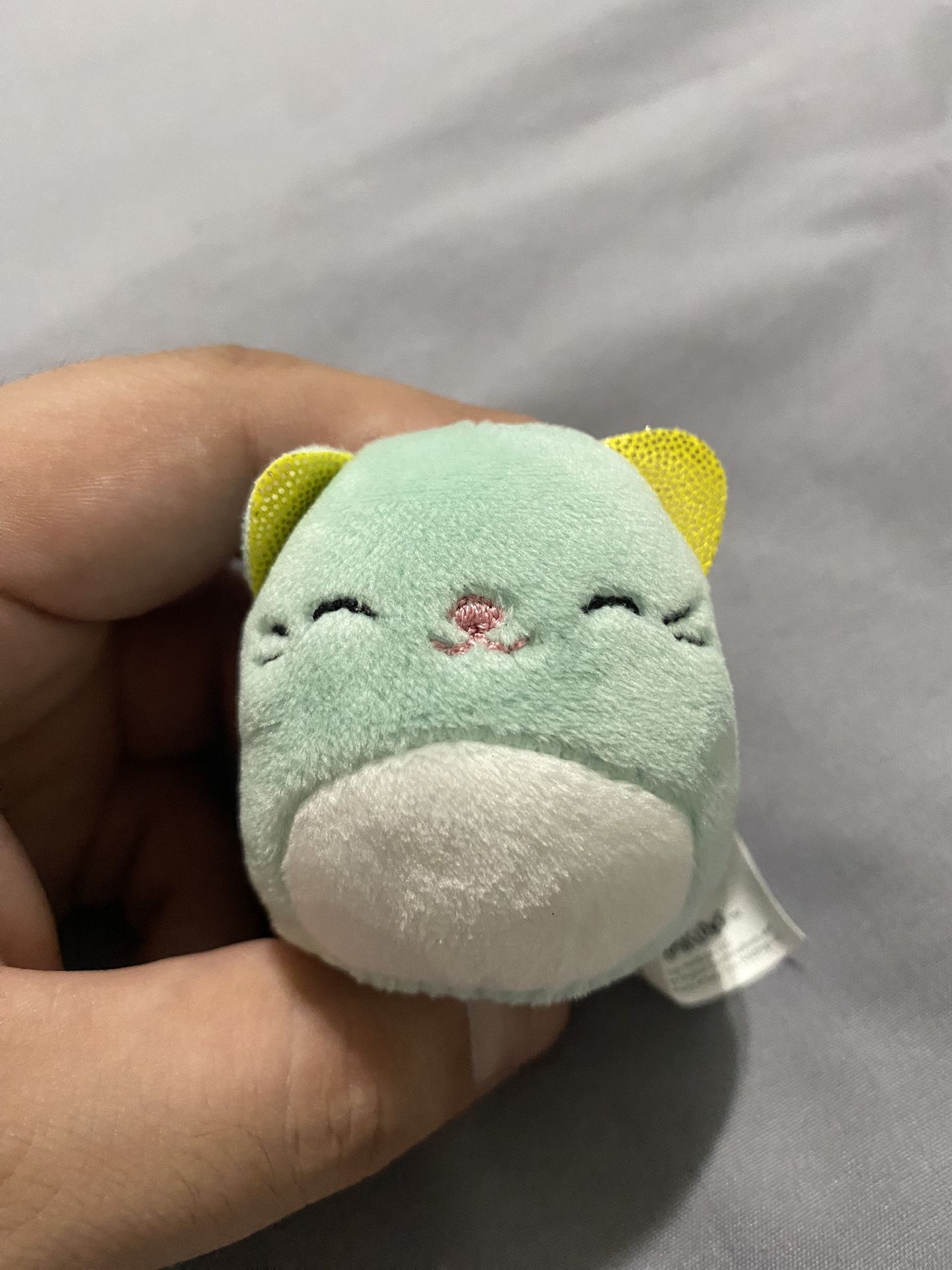 Squishmallows Squishville 2" Mystery Blind Bag Charisma the Mint Green Cat