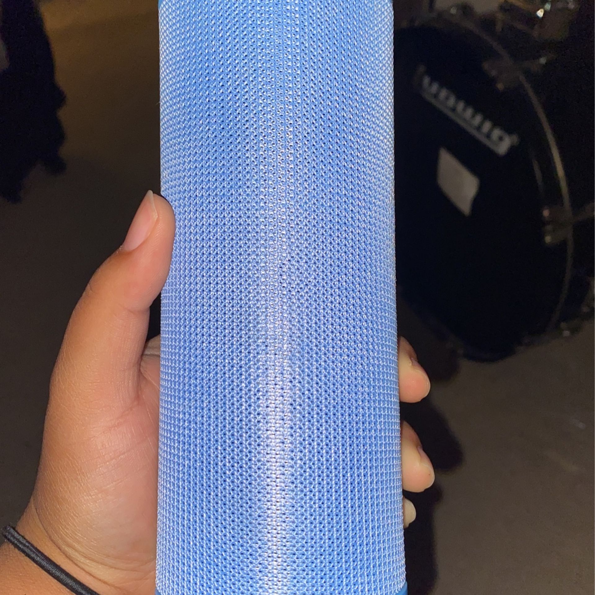 Sylvania Speaker