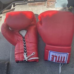 Title Boxing Gloves Jumbo