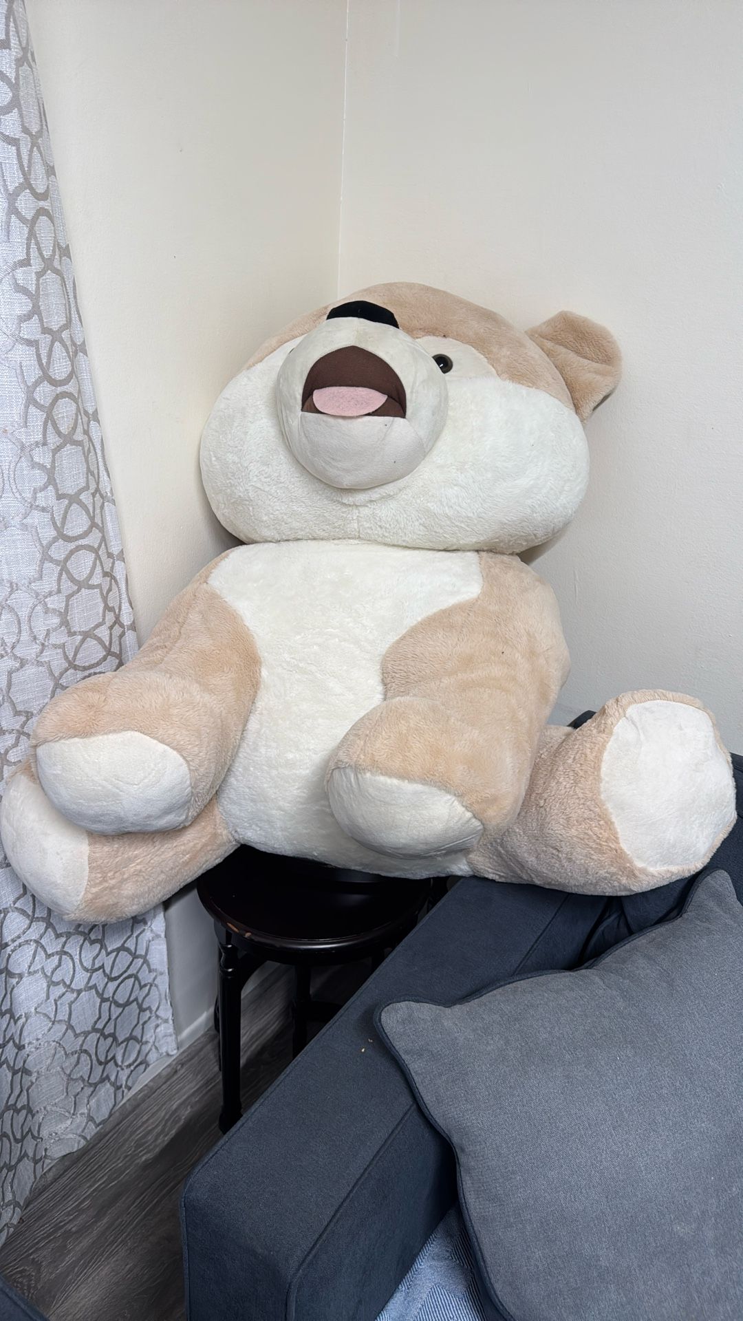 Teddy Bear