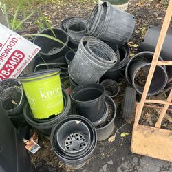 Containers For Plants