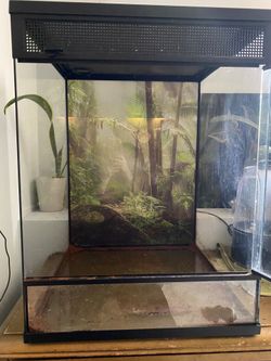 Reptile Terrarium with equipment