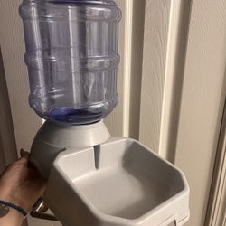 Dog Water Dispenser