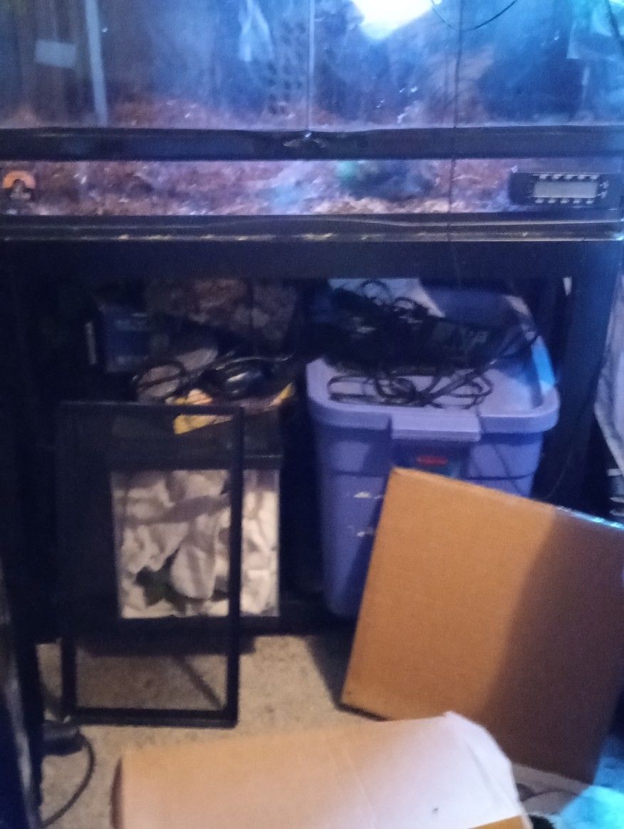 Snake Cage Set Up