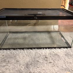 Reptile Tank