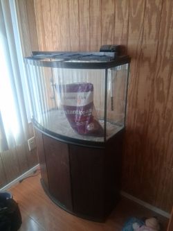 Fish tank