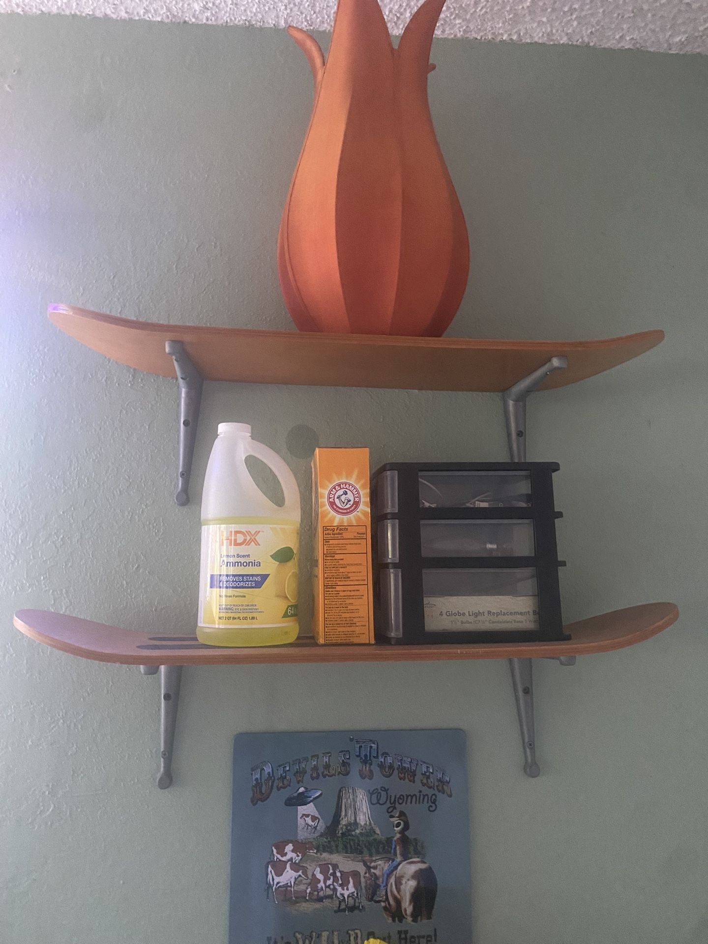 Pottery Barn Teen Skate Deck Shelves