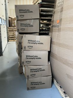 Amazon Prime Surprise Box $100 Each