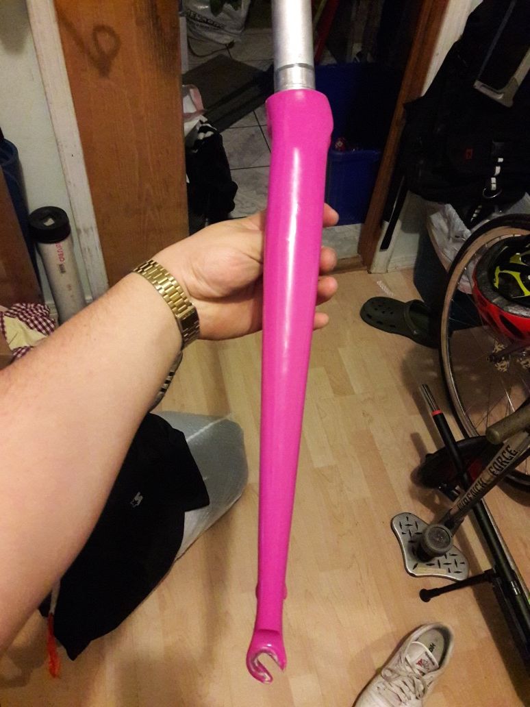 Carbon Bladed Fork