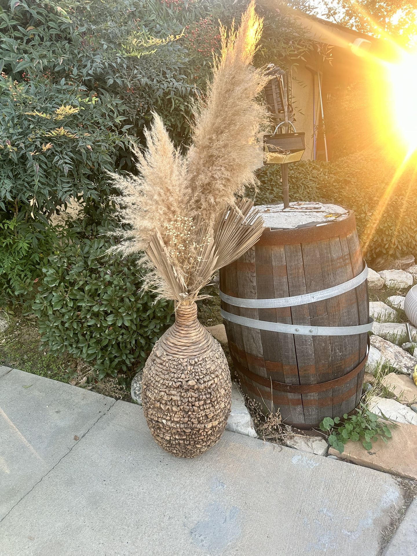 Vase With Pampas 