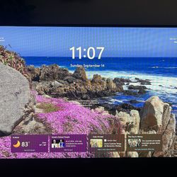 Dell 24.5” 240Hz Gaming Monitor (S2522HG) – In Box – G-SYNC & FreeSync Premium