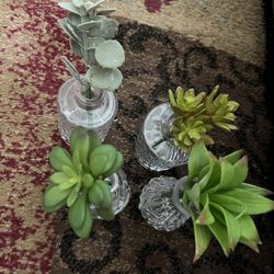Faux Succulent Plants