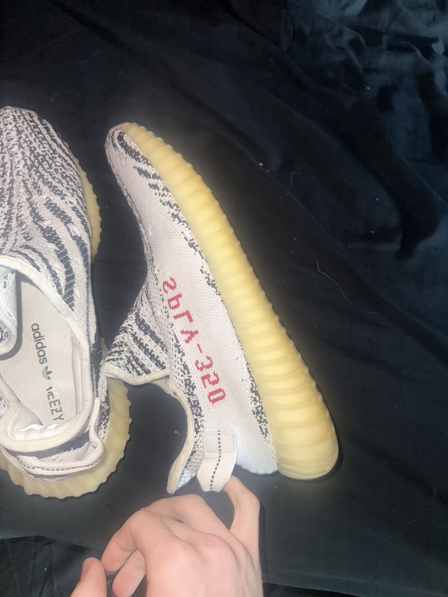Adidas Zebras Yeezy