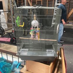 Bird Cage 