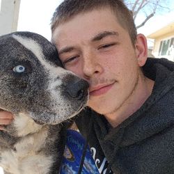 Dog Sitter And Walker