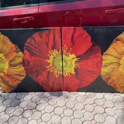 Red And Yellow Poppy I & II By Pip Bloomfield 2-pc Canvas Art Set (35” X35”) $40 Both Firm On Price