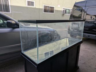 50 gallon aquarium