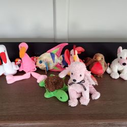 New ty Beanies, Each