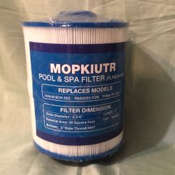 Pool And Spa Filter