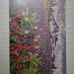 Picture/puzzle