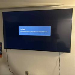 75in Flat Screen