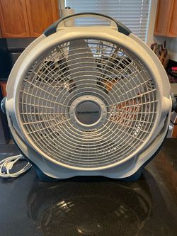 Fan