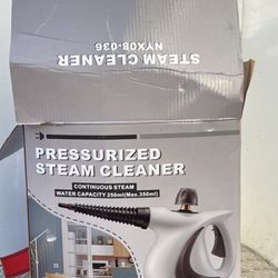 Steam cleaner