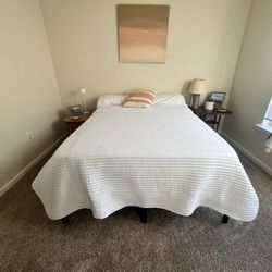 Serta Queen Mattress