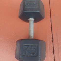 75 Pounds Dumbbell 
