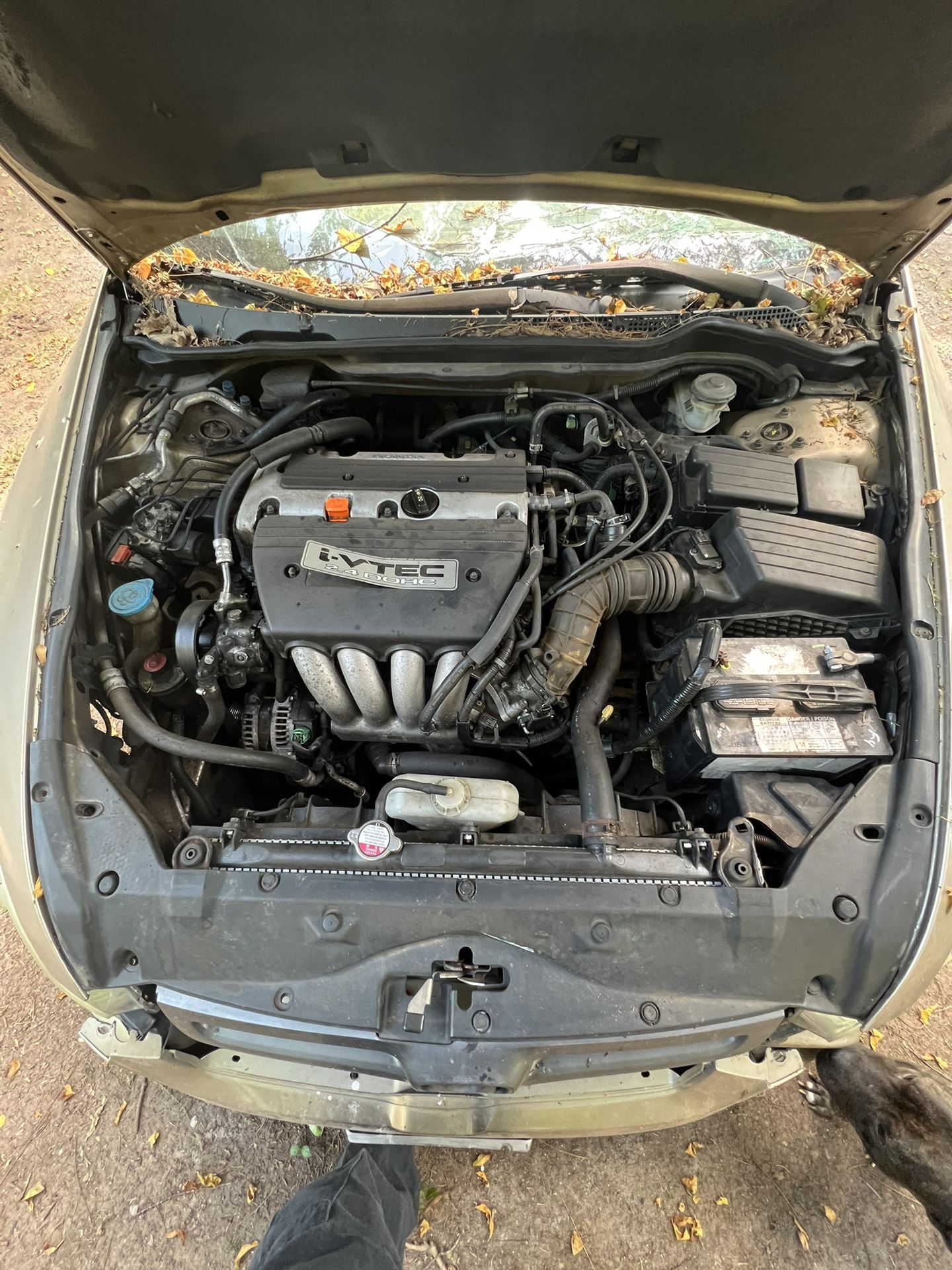 2004 Honda Accord Selling For Parts