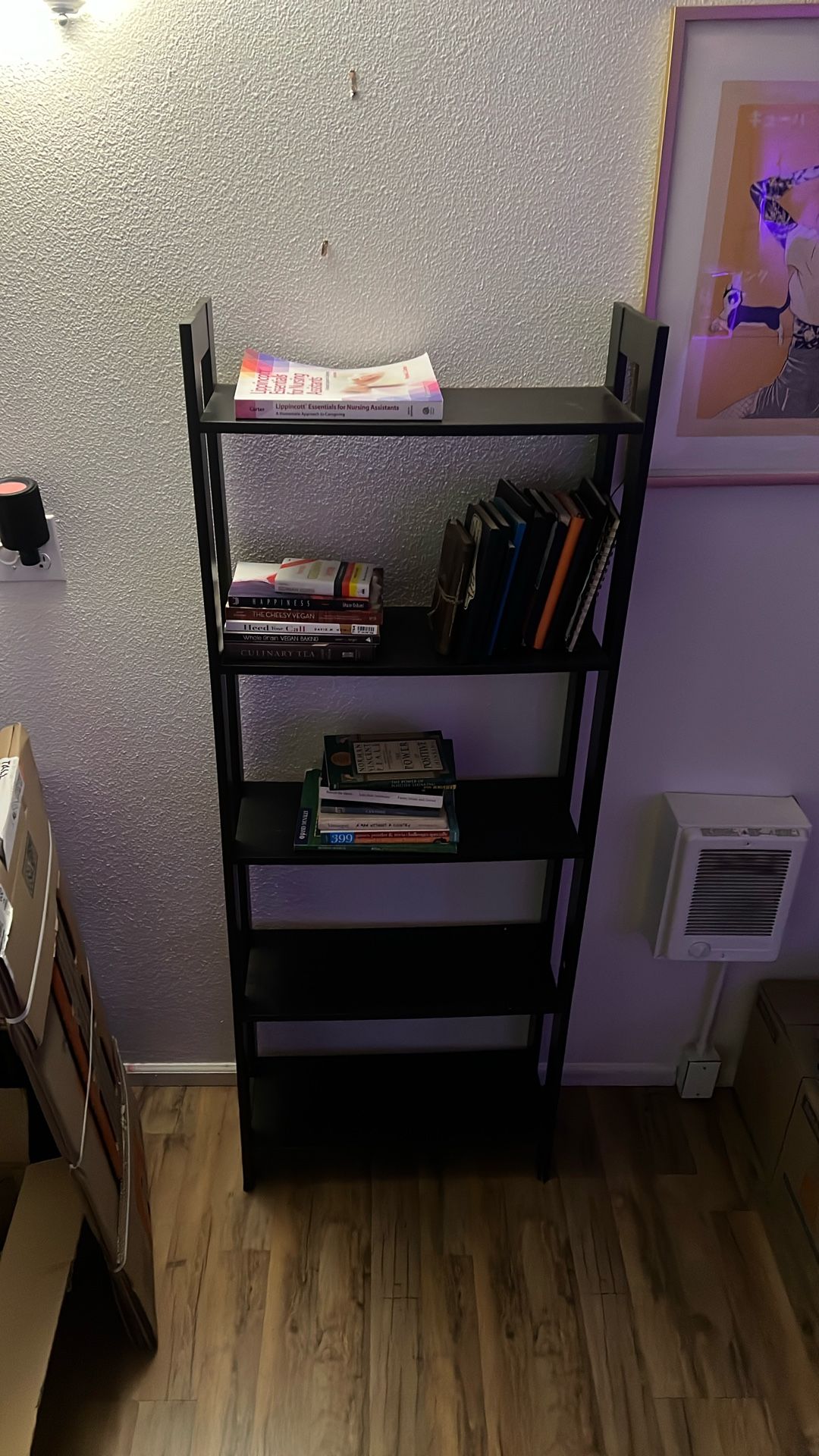 FREE bookshelf