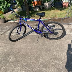 Dynacraft Northern Ridge Mountain Bike For Teens 